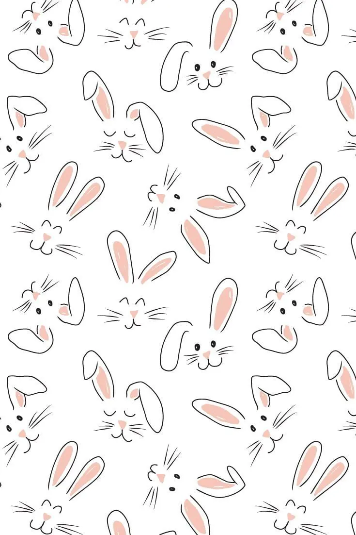 Download white background of painted rabbits with a pink halo