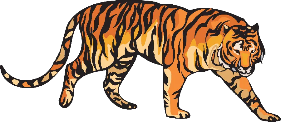 A very beautiful graphic tiger PNG image for professional logo design 