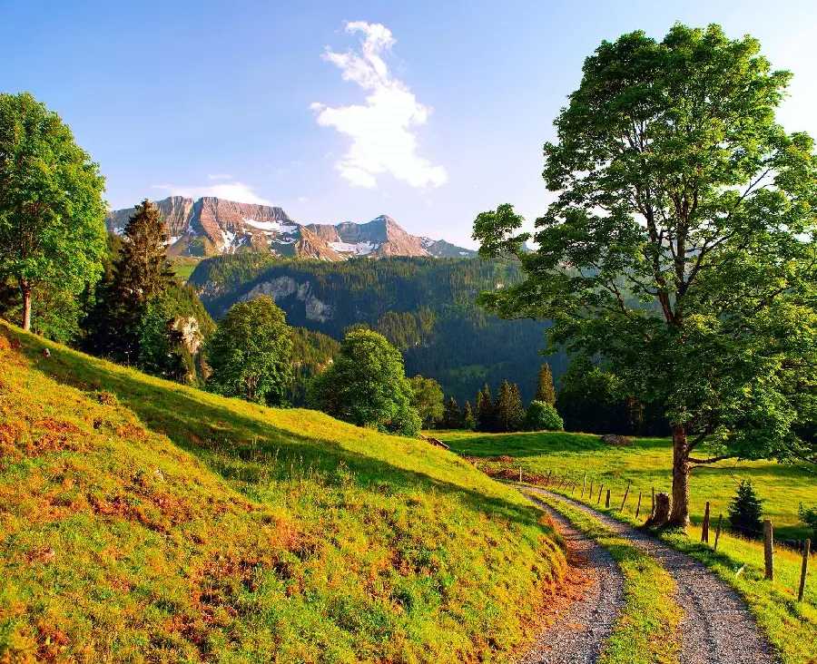 Download eye-catching summer nature wallpaper for laptops and computers of special people