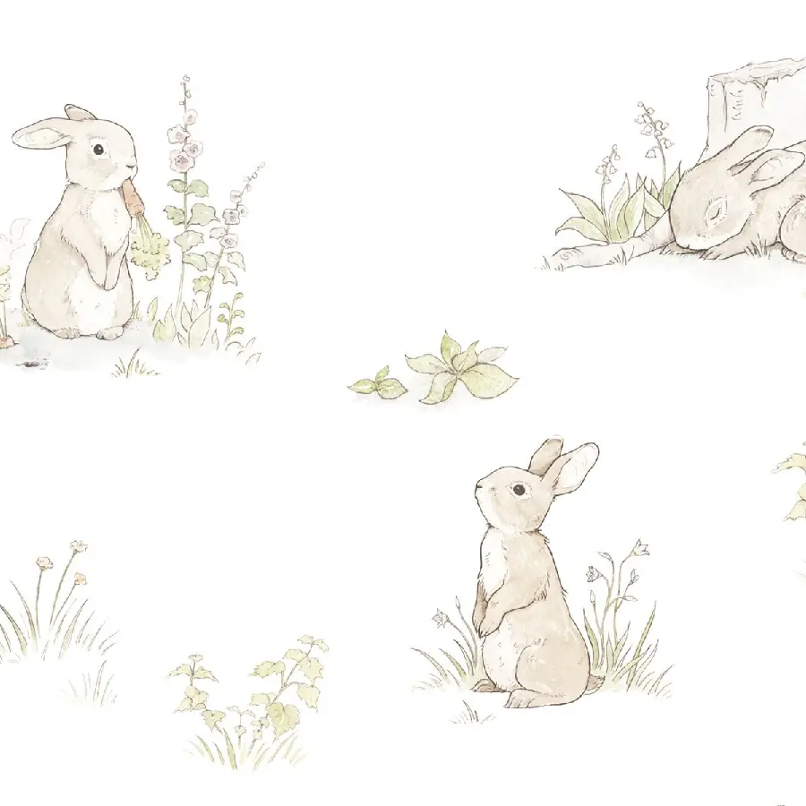 Download a picture of a wild rabbit with a white background 