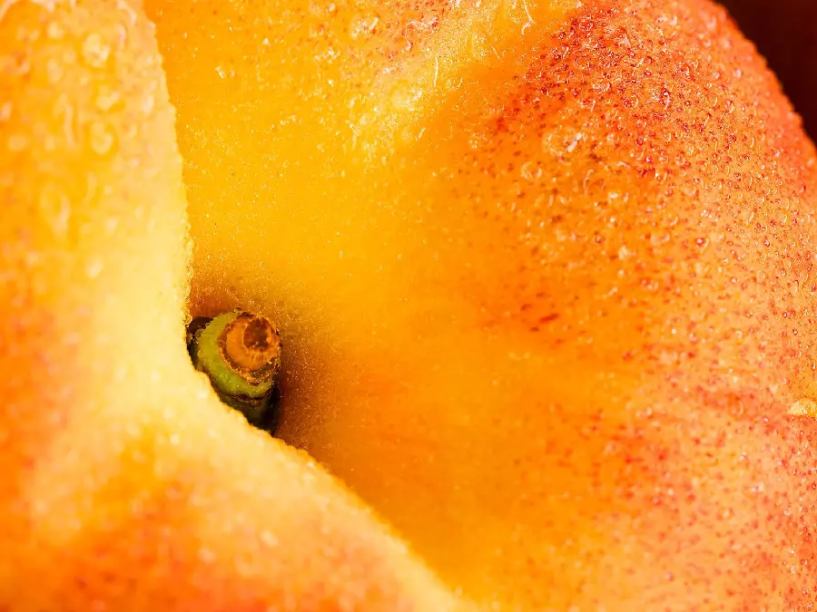 Simple and spectacular image of a peach fruit up close with microscopic hairs