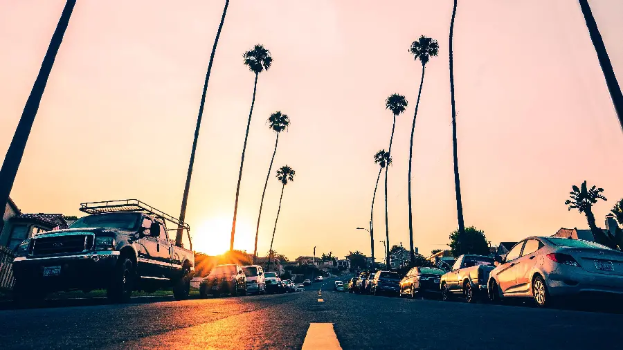 Laptop background of Los Angeles California streets with foxtail trees