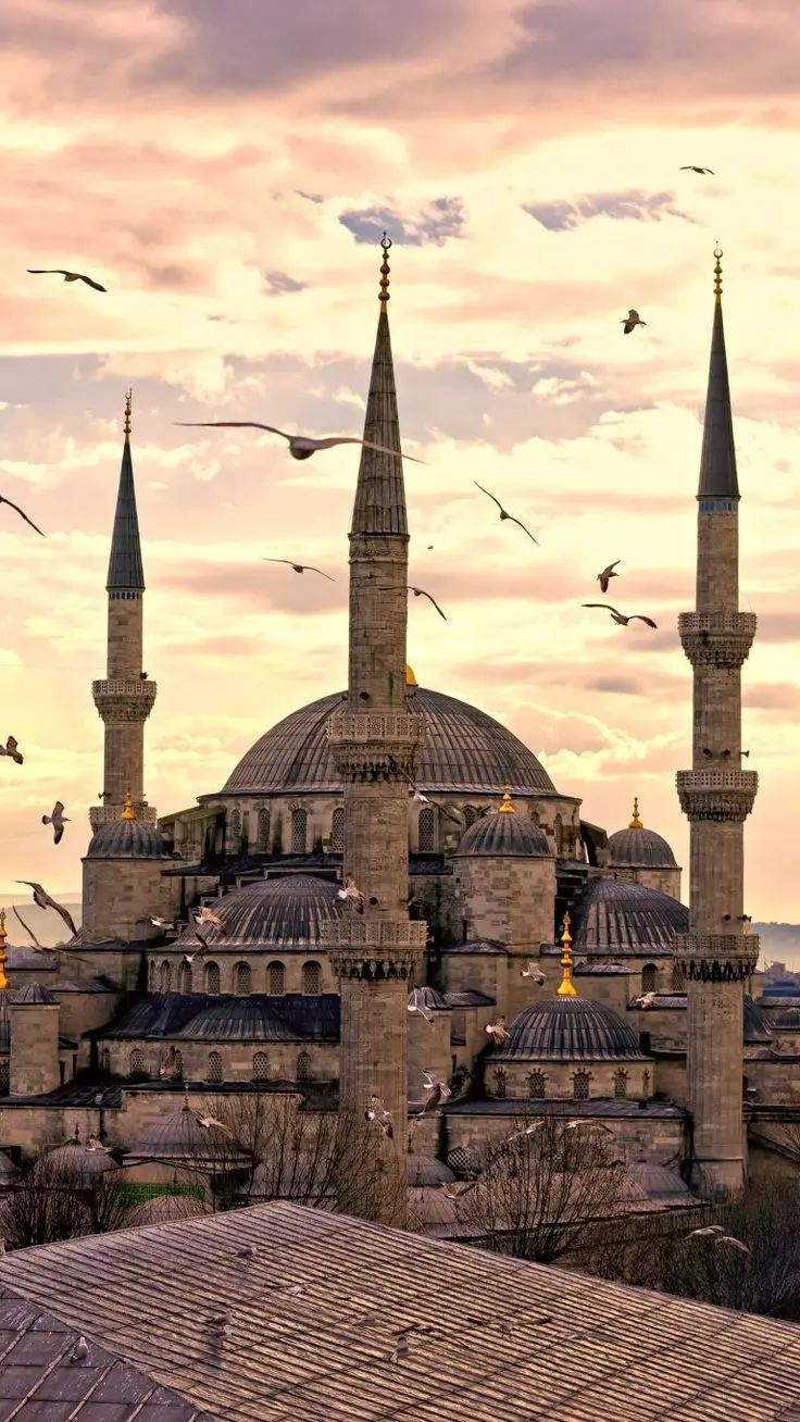 Amazing and beautiful background of the mosque with beautiful birds above it 