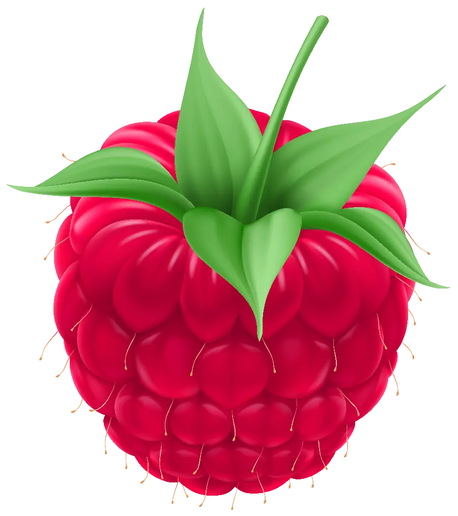 PNG painting photo Computerized red raspberries arranged without background 