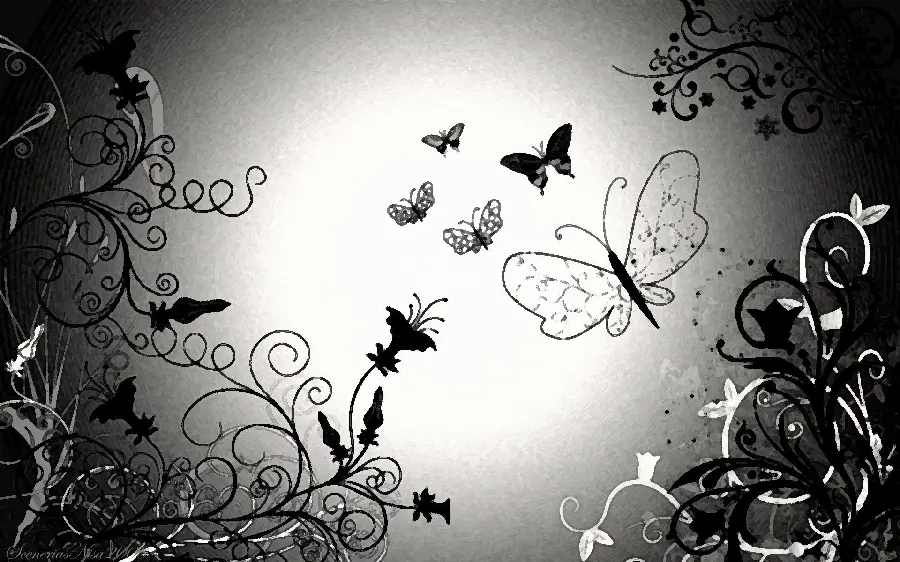 Amazing and beautiful black butterfly background for Windows