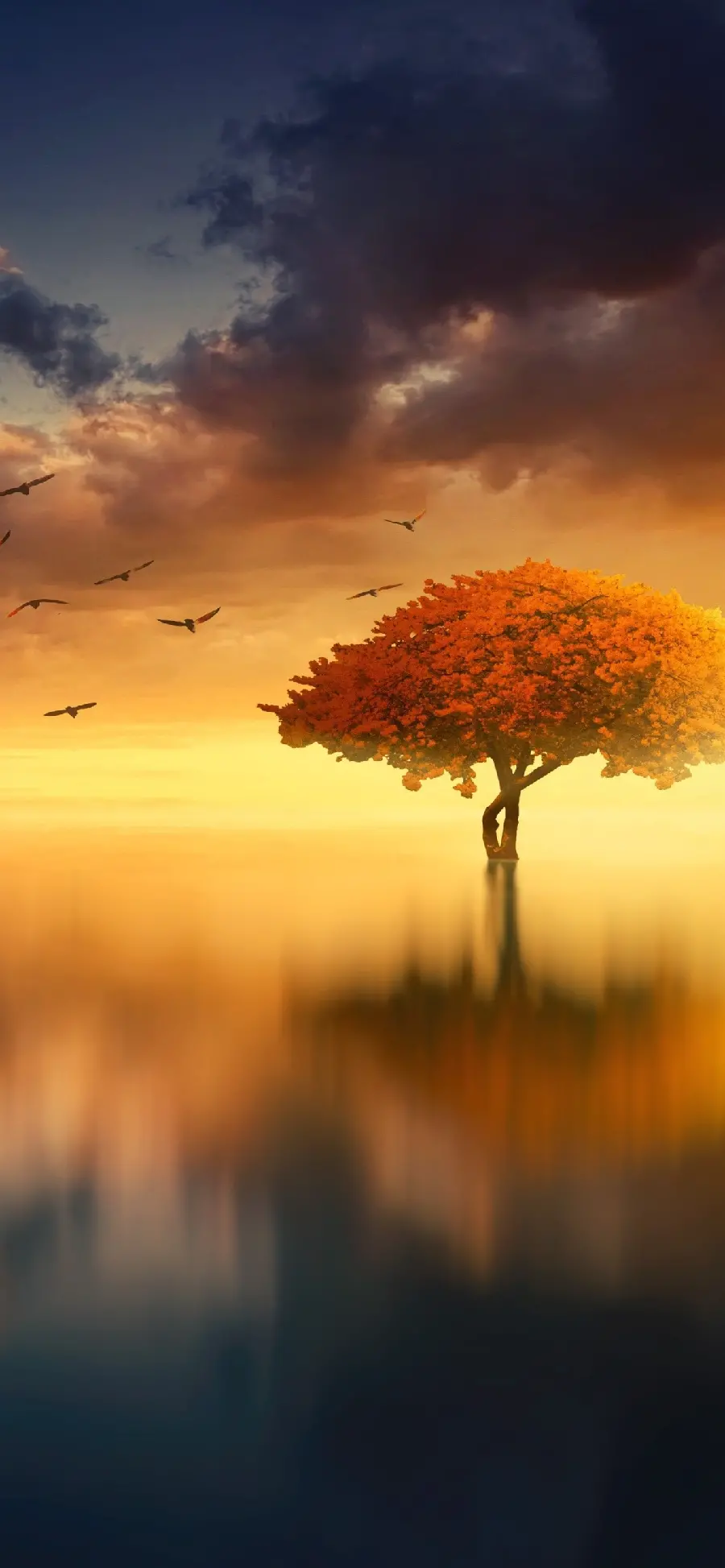  Interesting and spectacular photo of a single tree in the middle of the water with orange color 