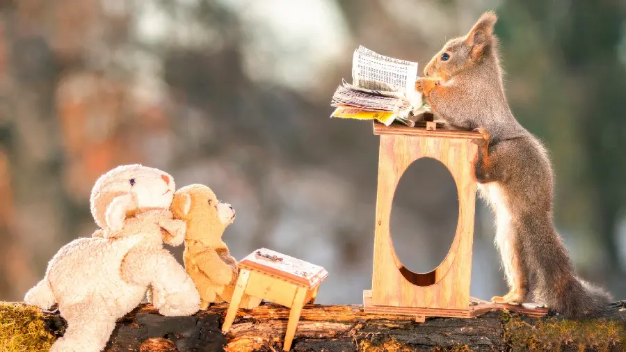 A very beautiful and spectacular photo of two cute and tasty squirrels