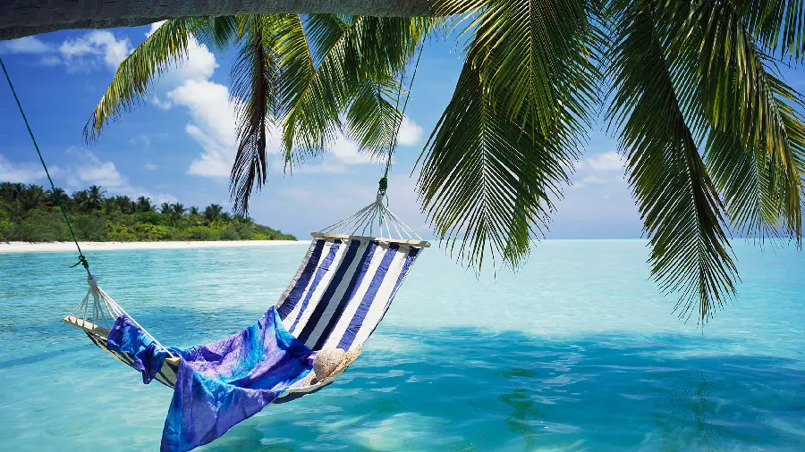 Download the picture of the beautiful coastal sea nature andCalming with a relaxing swing 
