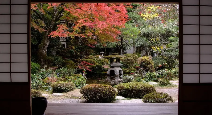 Interesting HD image of a Zen rock garden in autumn for meditation lovers