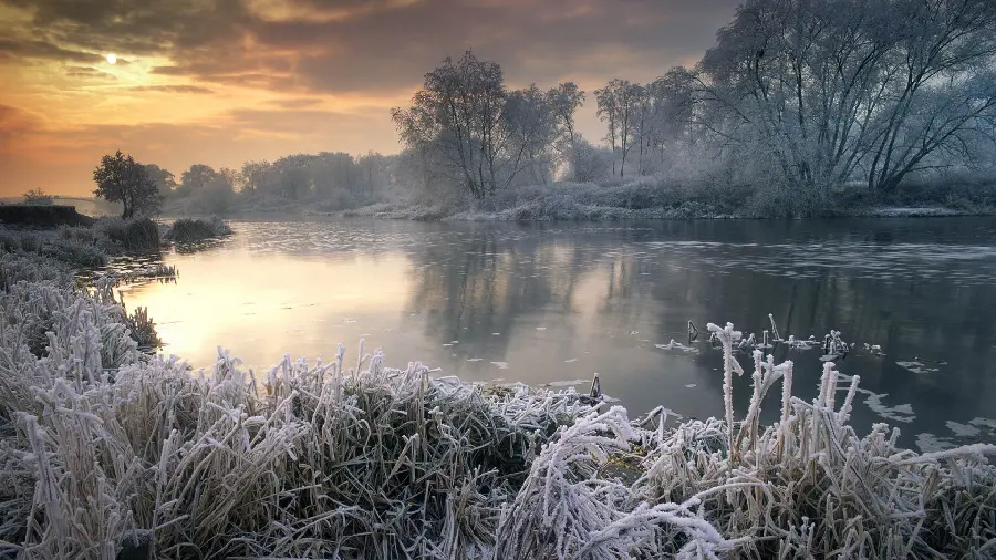 The most beautiful wallpaper of white-clad trees by the water HD