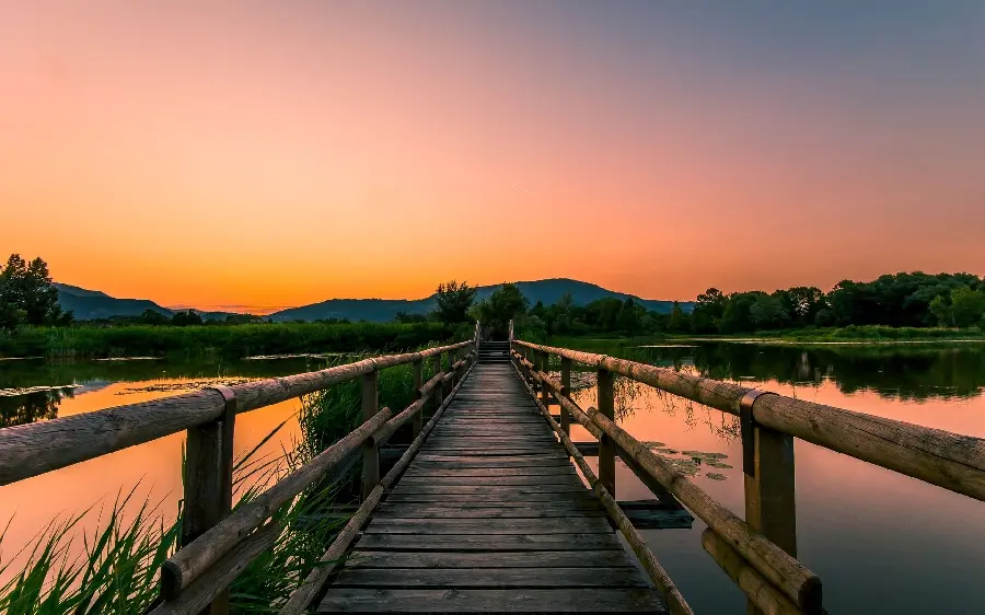 Sad profile picture of sunset along the lake