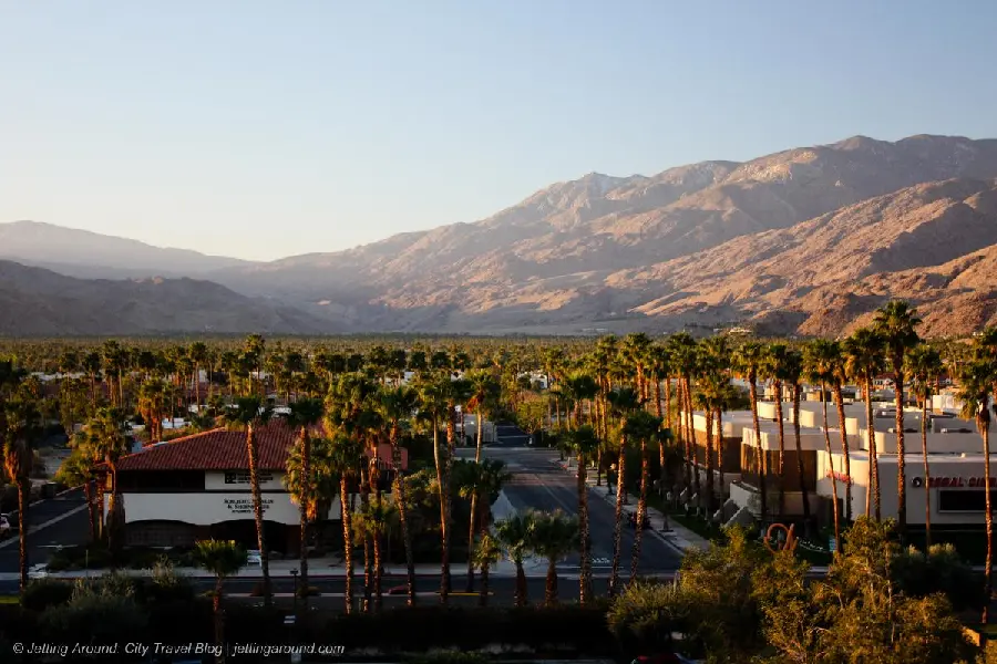 Image of green palm trees next to a hot and dry mountainous residential area