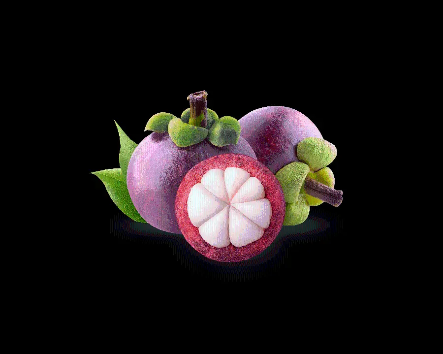 The most downloaded free and real quality image of targil fruit 