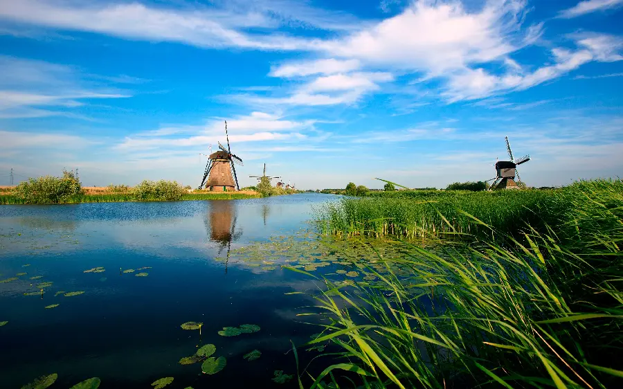 Beautiful pond profile photo with tall grass and windmill for Telegram