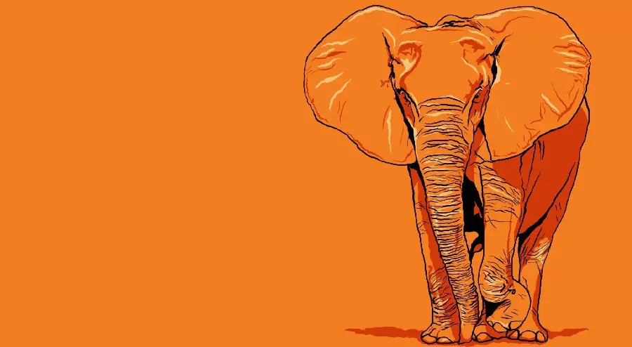 Vector image of giant orange elephant minimalist pop art africa