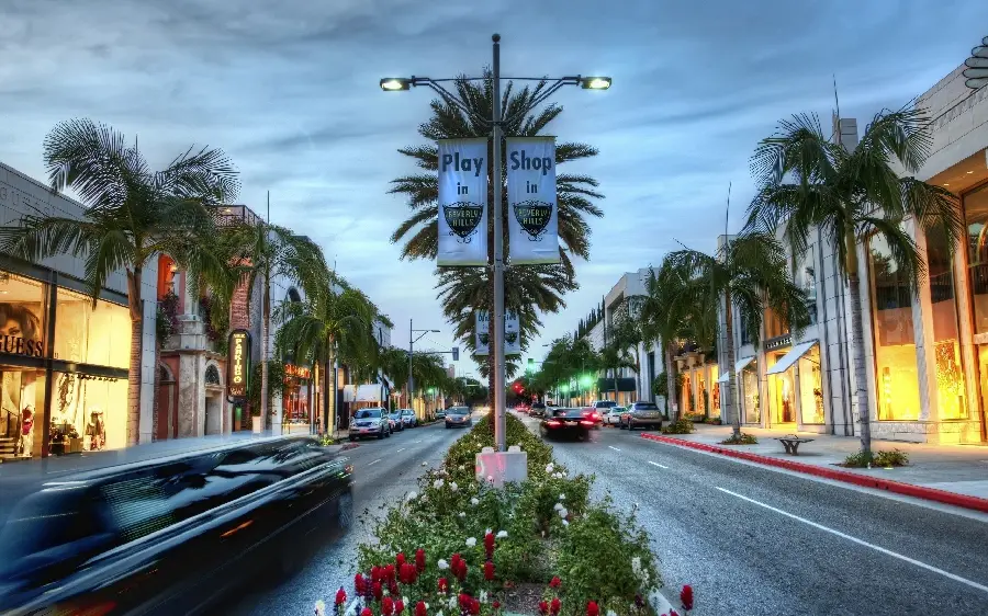 The latest photo of coconut palm trees on the street and public space of Los Angeles