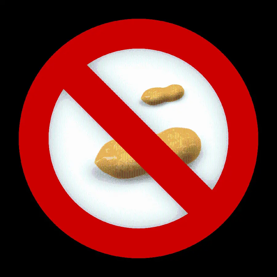 Peanuts prohibition sign for people with allergies