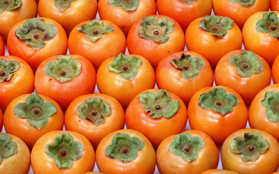 Download Ultra High Quality Persimmon Background Photo