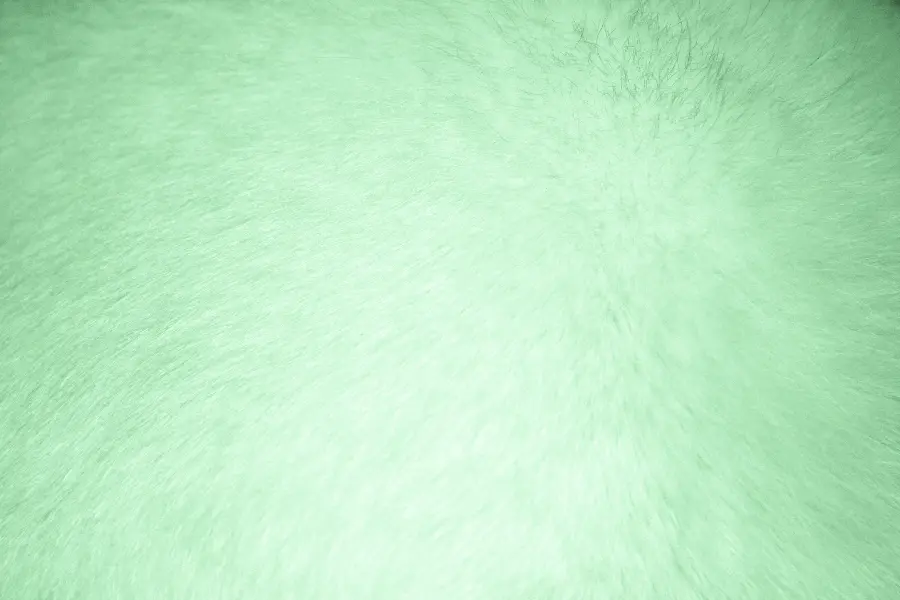 Flower and plant texture inspired by nature for clothing and decoration design