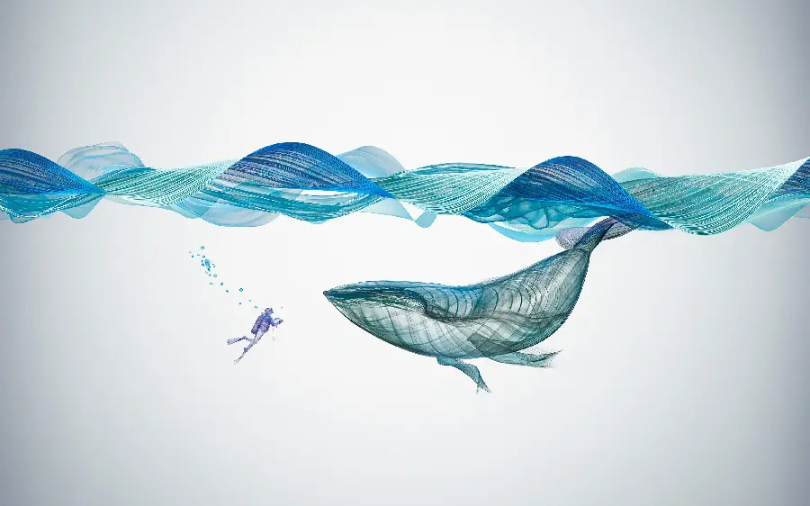 A very beautiful wallpaper of a computer whale with a human next to it 