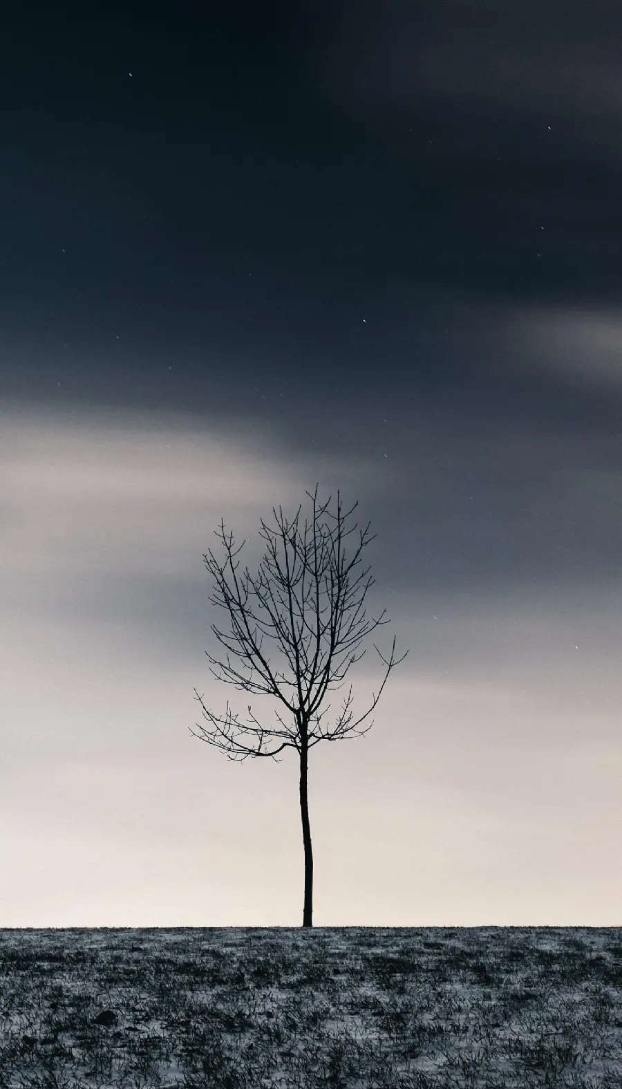 A beautiful wallpaper of a lonely tree in the middle of the desert with an angry sky