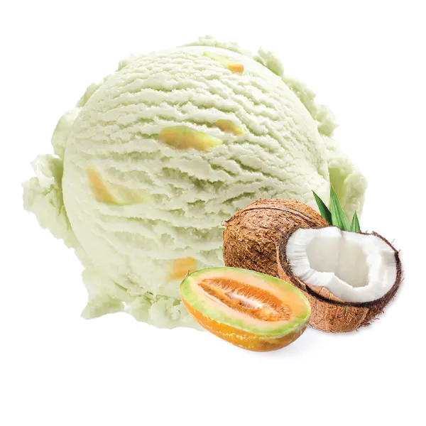 New cropped photo of a scoop of ice cream mixed with coconut and melon 
