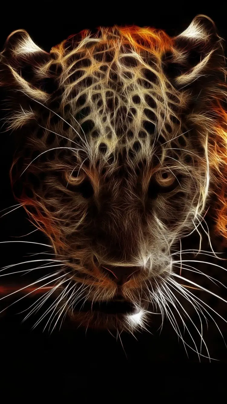 Background with a black wild jaguar wallpaper from a close-up