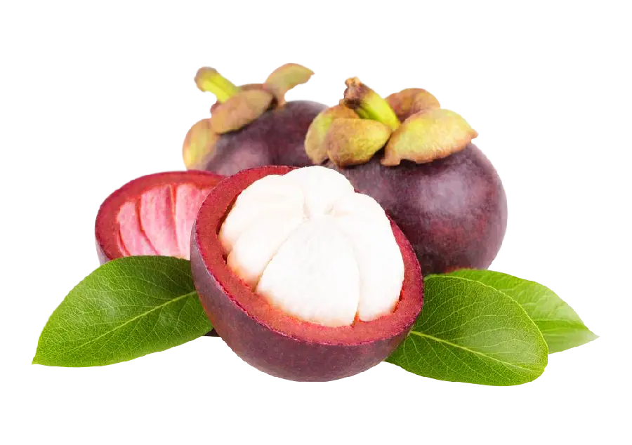 Free and HD PNG file of halved targil fruit 