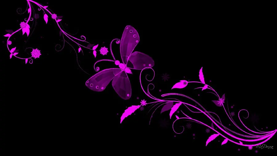 Photo of purple butterflies for wallpaper