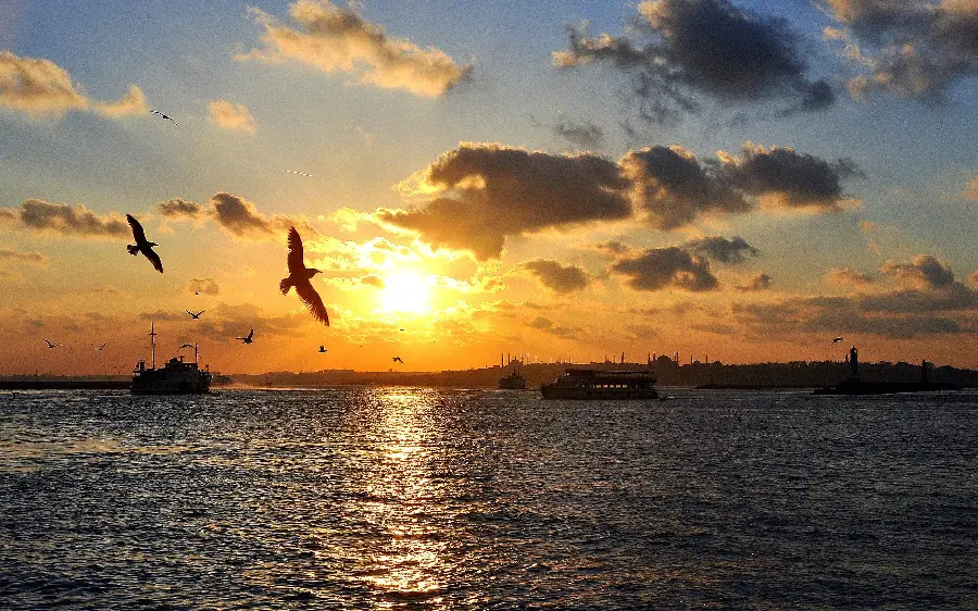 Attractive stock of the calm sea and ships floating at sunset