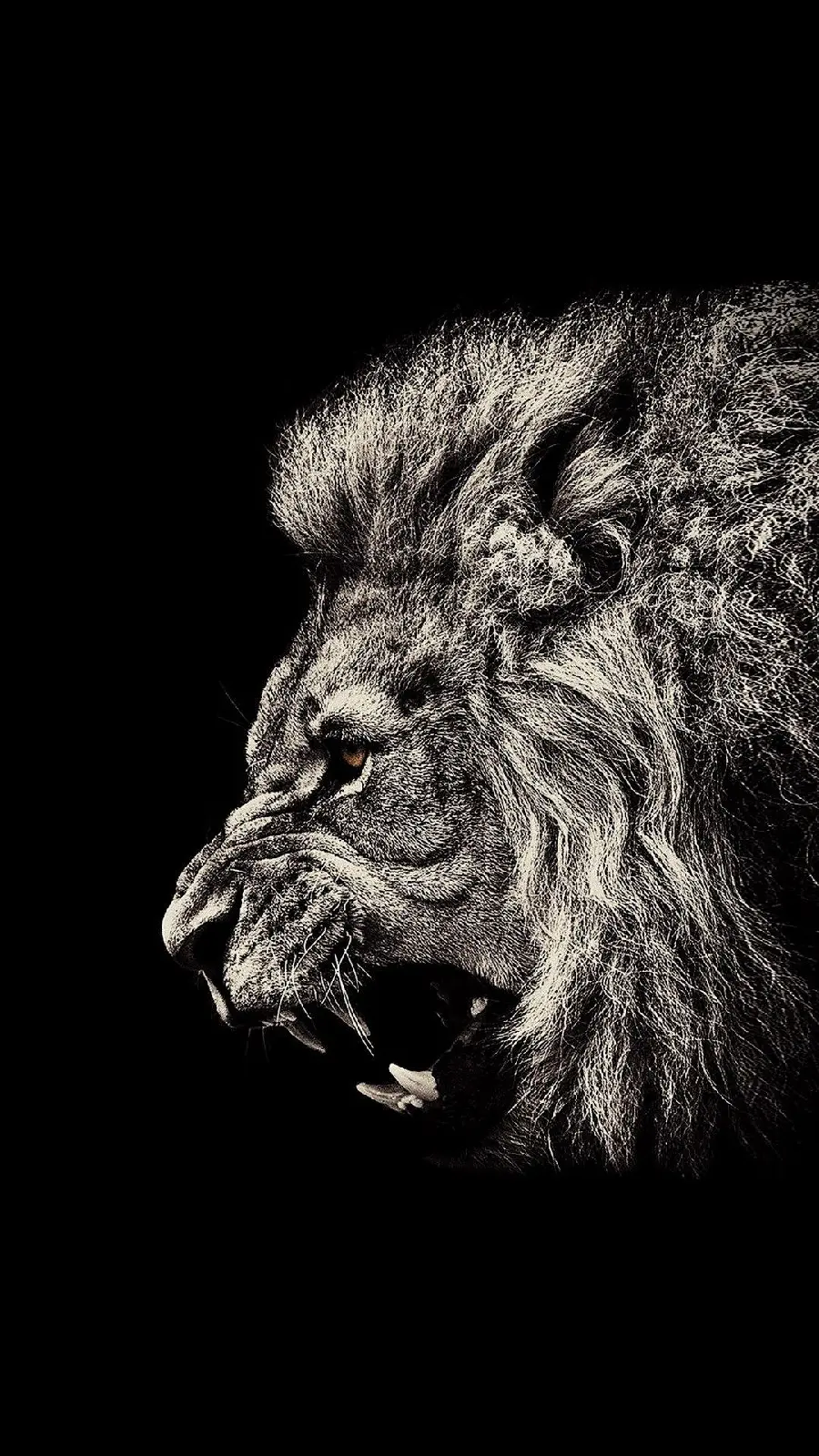 New photo of a wild lion boy with Photoshop effect suitable for iPhone background 15