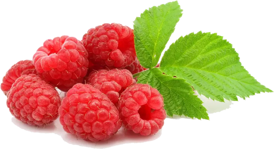 Download Cropped Red Raspberry PNG Image Without Background