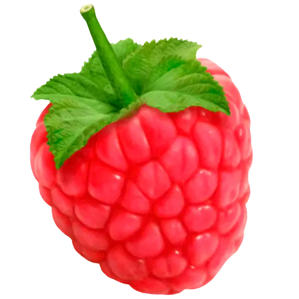 Free and high-quality PNG and cropped raspberry image download