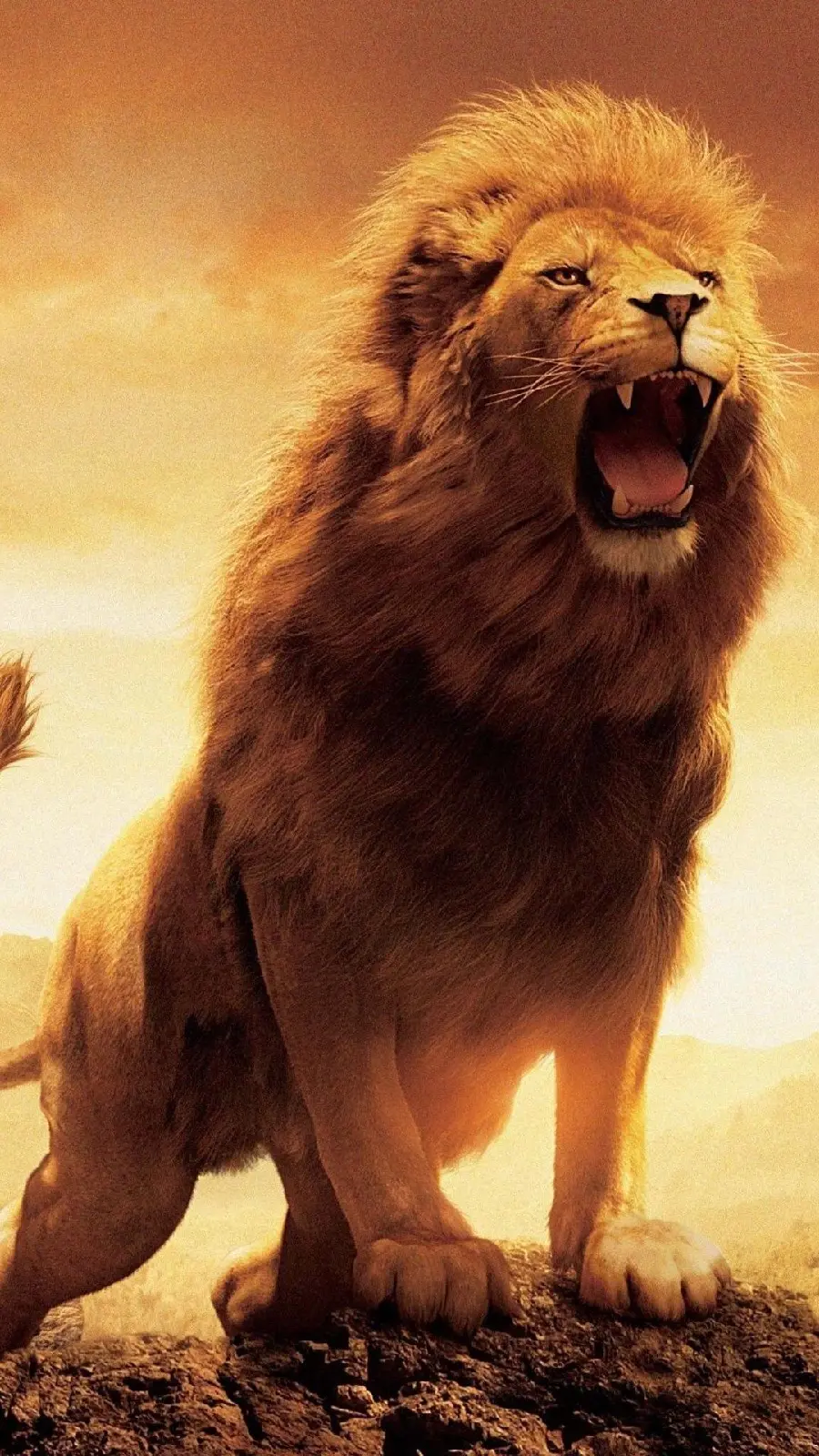 Lion Roaring on the Edge of the Cliff Wallpaper for iPhone