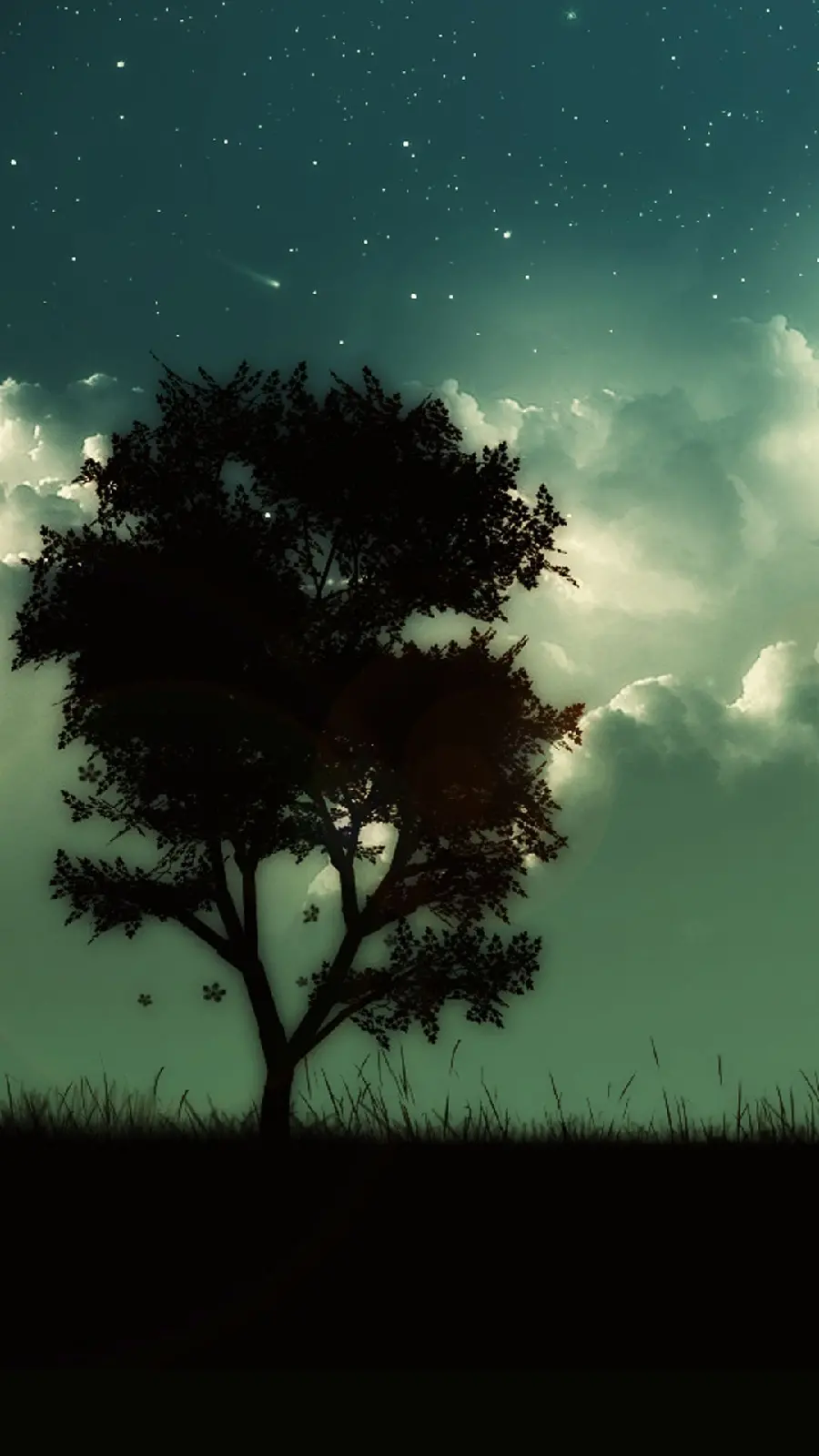  Background of a lonely tree and beautiful suitable for phone wallpaper 