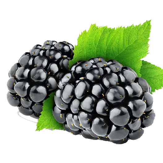Free Black Raspberry Rounded PNG Image 