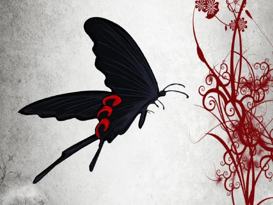 Amazing and beautiful wallpaper of a black butterfly with beautiful red designs next to it