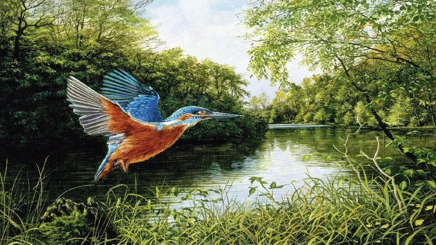 Painting of the most beautiful wild bird in nature for high-quality painting printing