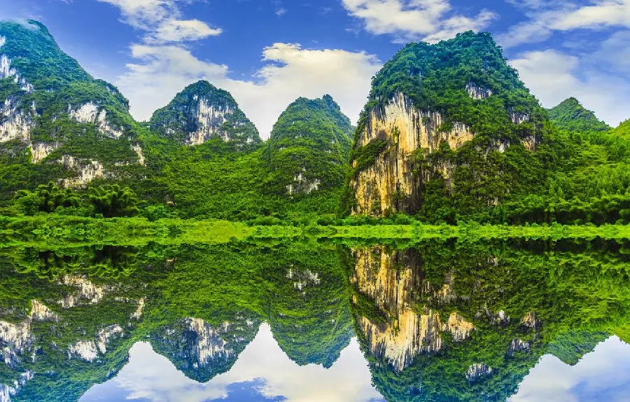 Beautiful and impressive image of the pure nature of the mountain bamboo forest