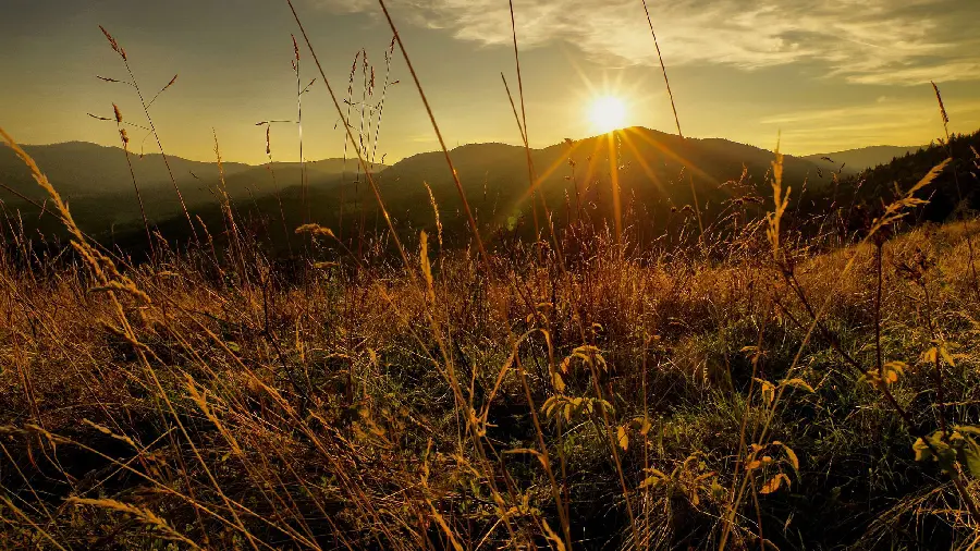 Amazing and interesting background of sunset with excellent quality 