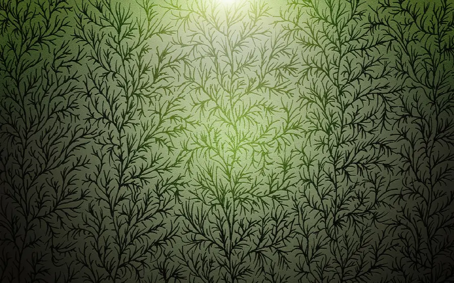 The most beautiful 3D plant design image with green lighting 