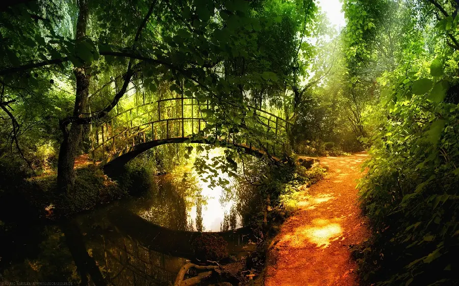 Download the Zen nature file for fans of Japanese aesthetics 