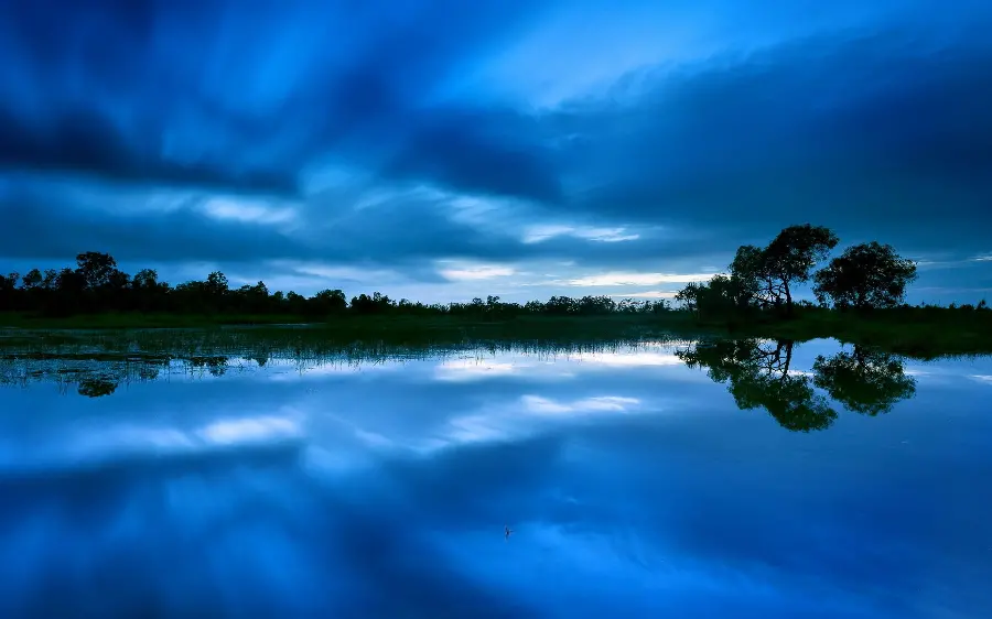 Free download of a fantasy and beautiful profile picture of nature 