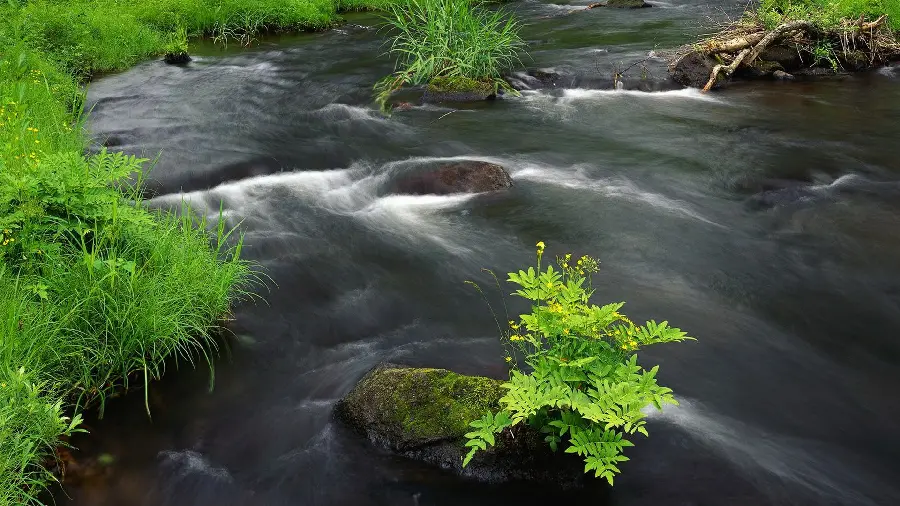 Download a photo from the top view for a telegram profile of a raging river 
