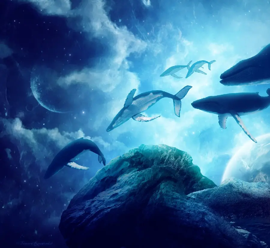 Photoshopped and spectacular photo of large whales in the sky