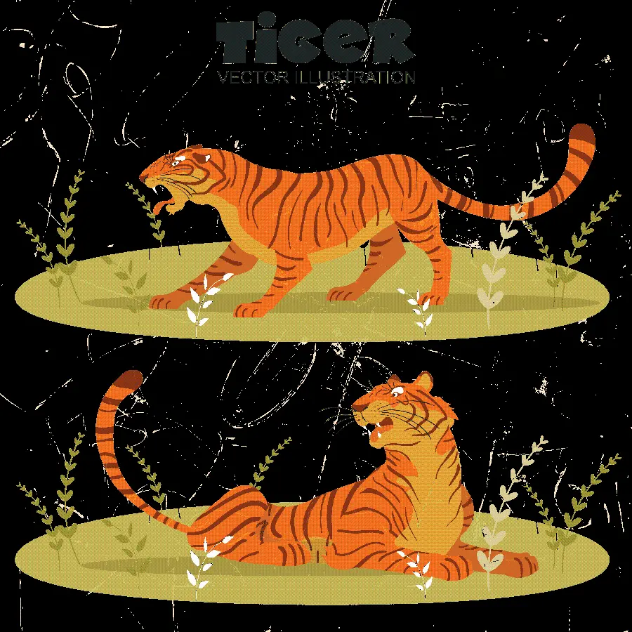 Colored Tiger Graphic Photo PNG Suitable for Pierre Cardin Tablet Background 