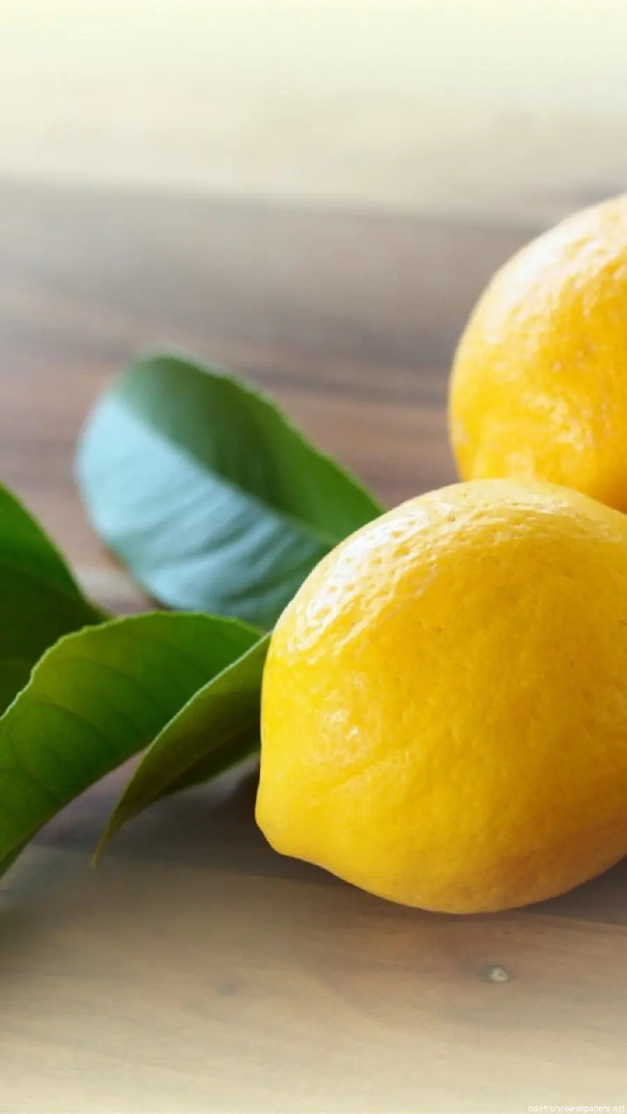 Download stock image of lemon, a summer fruit with many properties