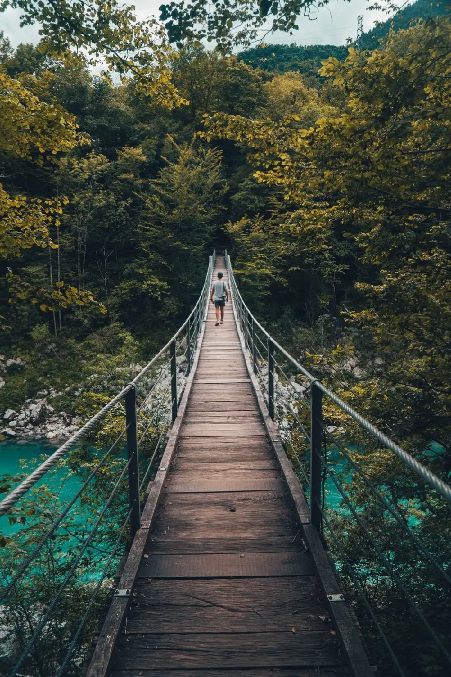 Amazing profile picture of a beautiful forest and a man on a wooden bridge 