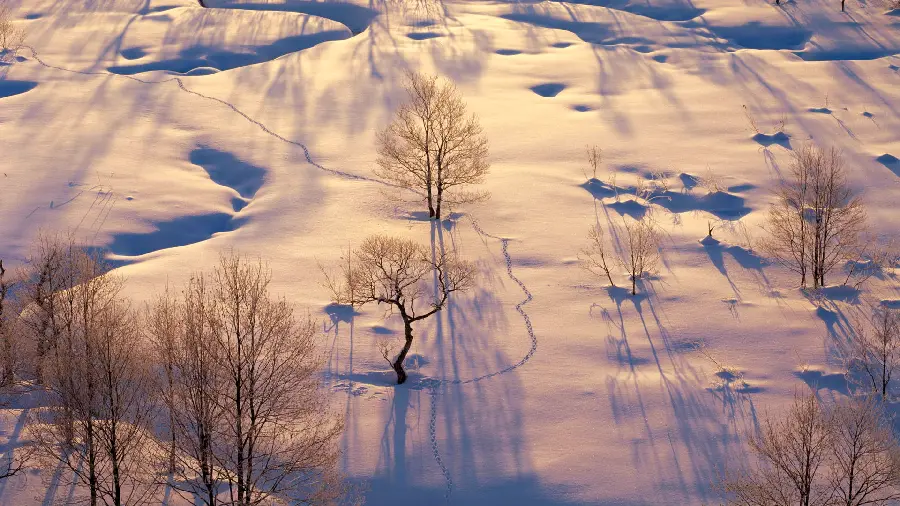 Winter image of the snow-covered ground in the sun for WhatsApp status