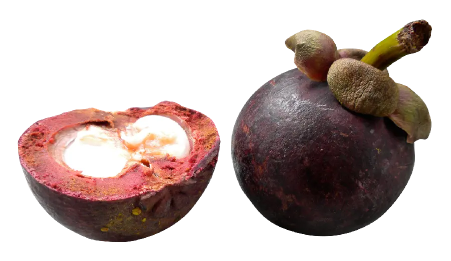 The latest image released of the ripe purple tree fruit HD 